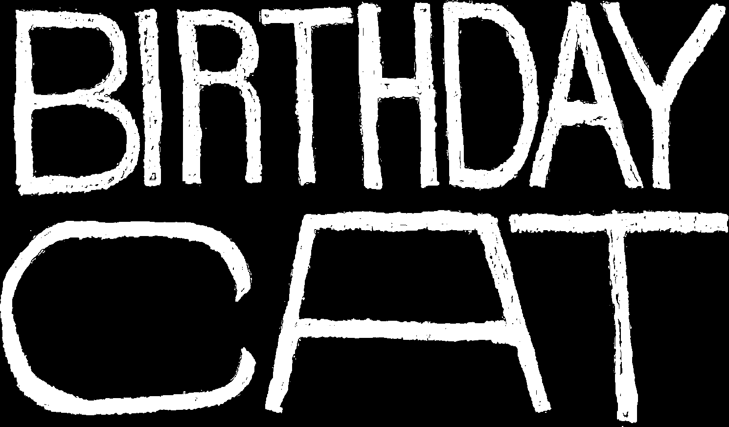 Birthday Cat